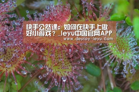 
快手公然课：如何在快手上做好小游戏？_leyu中国官网APP(图2)