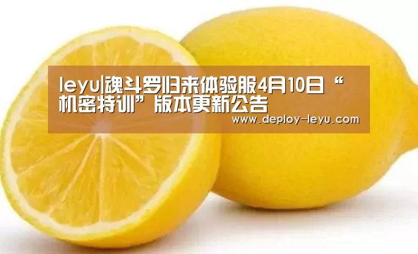 leyu|魂斗罗归来体验服4月10日“机密特训”版本更新公告(图3) leyu|魂斗罗归来体验服4月10日“机密特训”版本更新公告(图3)